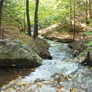 Cherry Valley National Wildlife Refuge