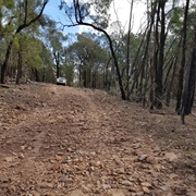 Bendick Murrell National Park (NSW)