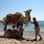 Issyk Kul, Kyrgyztsan