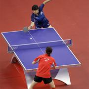 Table Tennis (Ping-Pong)