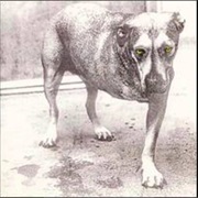 Alice in Chains — Sludge Factory