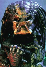 The Predator