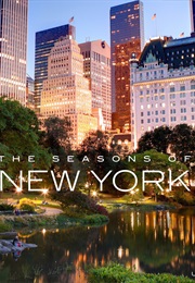 The Seasons of New York (Charles J. Ziga)