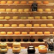 Visit a Cheese Factory