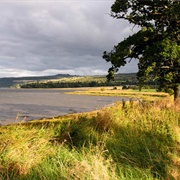 Beauly Firth