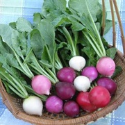 Easter Egg Radishes