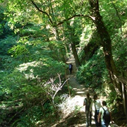 Nature Park Medvednica