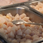 Atlantic Bay Scallop (Argopecten Irradians)