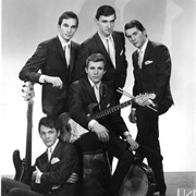 Wild Thing - The Wild Ones