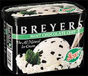 Bryer's Ice Cream
