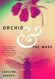 Orchid and the Wasp (Caoilinn Hughes)