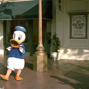 Opera House: Walt Disney Story (1973-1975)