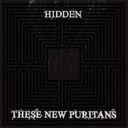These New Puritans - Hidden