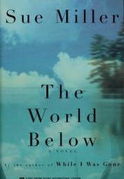 The World Below (Sue Miller)