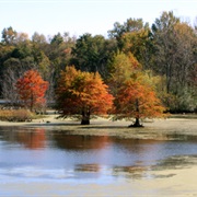 Muscatatuck National Wildlife Refuge