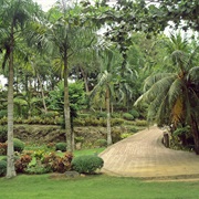 Baluarte De Aloguinsan