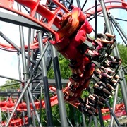 Cobra (Tivoli Friheden, Denmark)