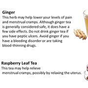 Raspberry Leaf & Ginger for Menstrual Pain