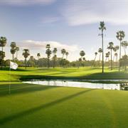 Sanctuary Cove (Palms Course)