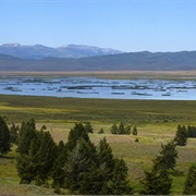 Red Rock Lakes National Wildlife Refuge