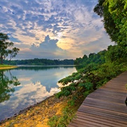MacRitchie Reservoir, Singapore