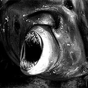 Jagrafess of the Holy Hadrojassic Maxarodenfoe