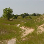 Kohler-Andrae State Park, Wisconsin