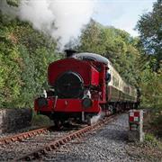 Plym Valley Railway
