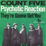 Psychotic Reaction - The Count Five