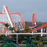 Sea Viper, Sea World