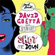 David Guetta Ft Skylar Grey - Shot Me Down