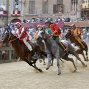 Watch a Palio Di Siena Live