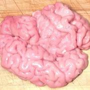 Beef Brain