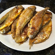 Redlip Croaker (Larimichthys Polyactis)