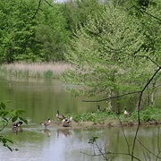 Stonelick State Park, Ohio