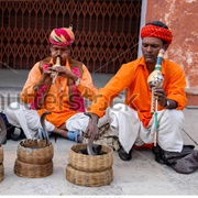 Encounter Moroccan Snake Charmers at Djemaa El-Fna Square