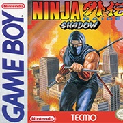 Ninja Gaiden Shadow