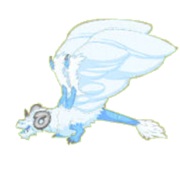 Snow Dragon