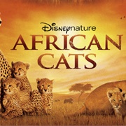 African Cats