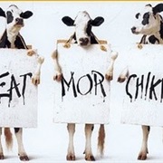 Chick Fil-A Cows