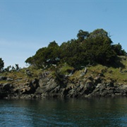 San Juan Islands National Wildlife Refuge