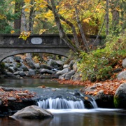 Lithia Park, Ashland