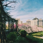 Go Somewhere You Have Always Wanted to Go