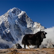 Sagarmatha National Park