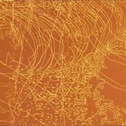 Troum & Yen Pox - Mnemonic Introduction