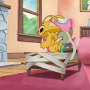 Wrapper (Experiment 521)