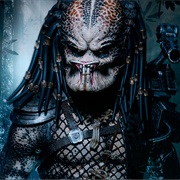 Predator