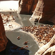Guelta D'Archei Oasis, Chad