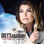 Grey's Anatomy Season 12
