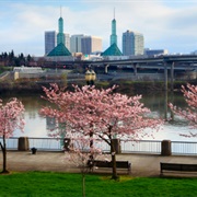Portland Waterfront